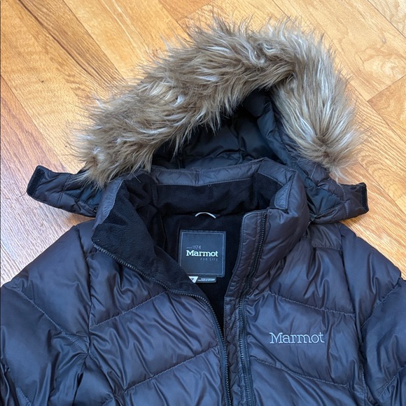 • Marmot• - Picture 2 of 10